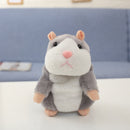 Talking Hamster - HamHam™