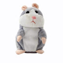 Talking Hamster - HamHam™